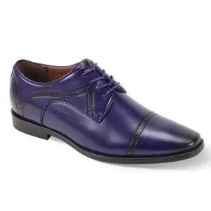 Antonio Cerrelli 7000 Purple