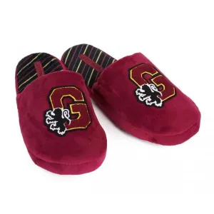 Harry Potter Gryffindor Varsity Premium Slippers