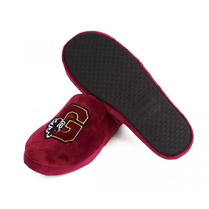 Harry Potter Gryffindor Varsity Premium Slippers